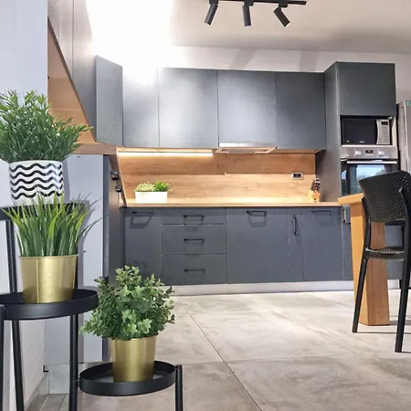 Olea * Kastel Novi